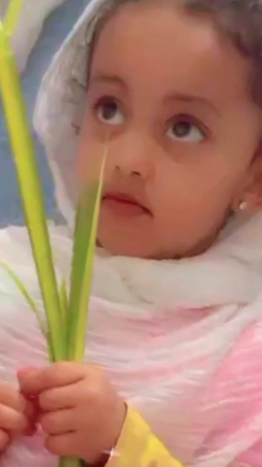 TikTok video thumbnail by abelbefkadu