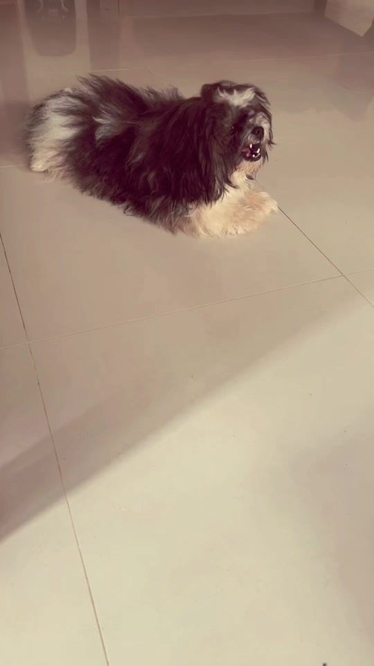 TikTok video thumbnail by renukamunasingha