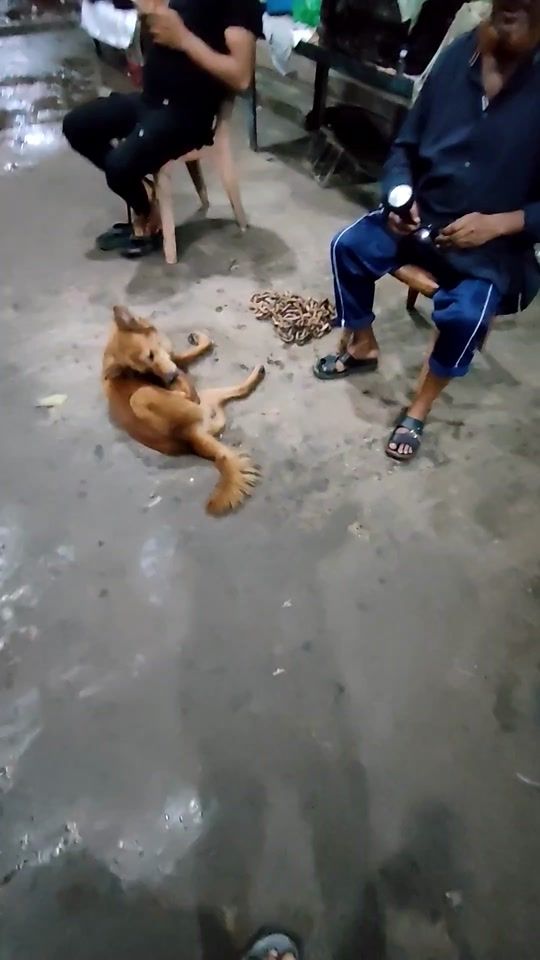 TikTok video thumbnail by riaz__vai420