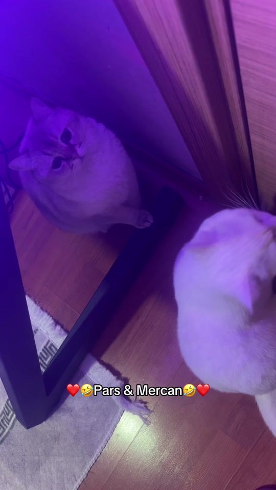 TikTok video thumbnail by iisude1