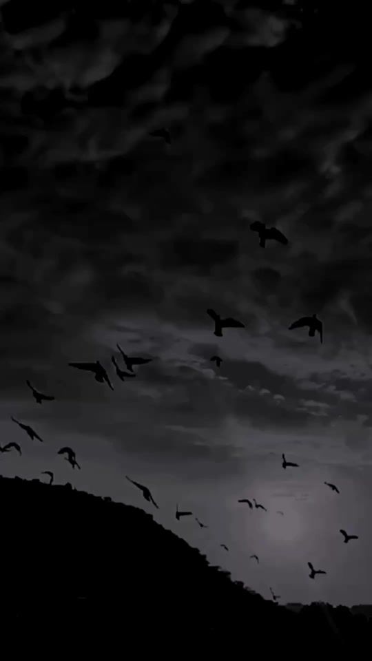 TikTok video thumbnail by ashifdo_
