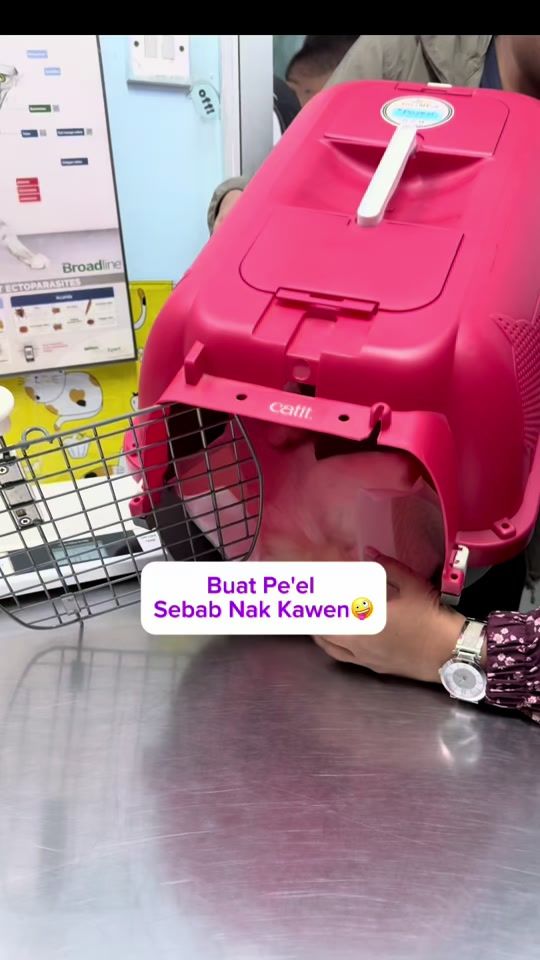 TikTok video thumbnail by zuradiamond