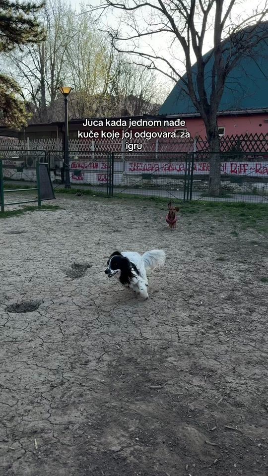 TikTok video thumbnail by juca.kuca