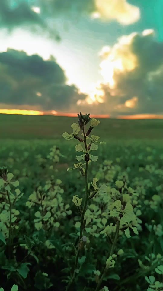 TikTok video thumbnail by als__1924