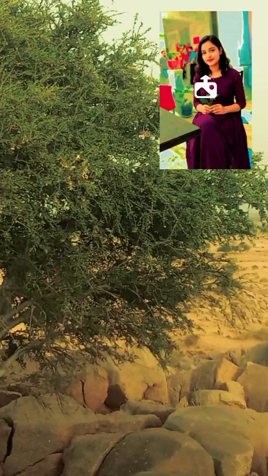 TikTok video thumbnail by .3233140