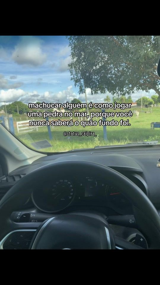TikTok video thumbnail by status_caipira_