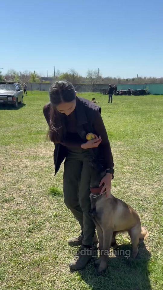 TikTok video thumbnail by dti_training