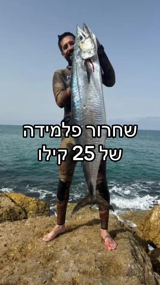 TikTok video thumbnail by alon.the.fish.guy