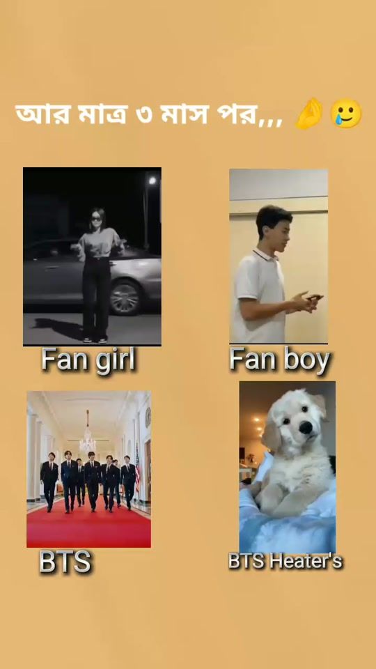 TikTok video thumbnail by kim_a_shaila
