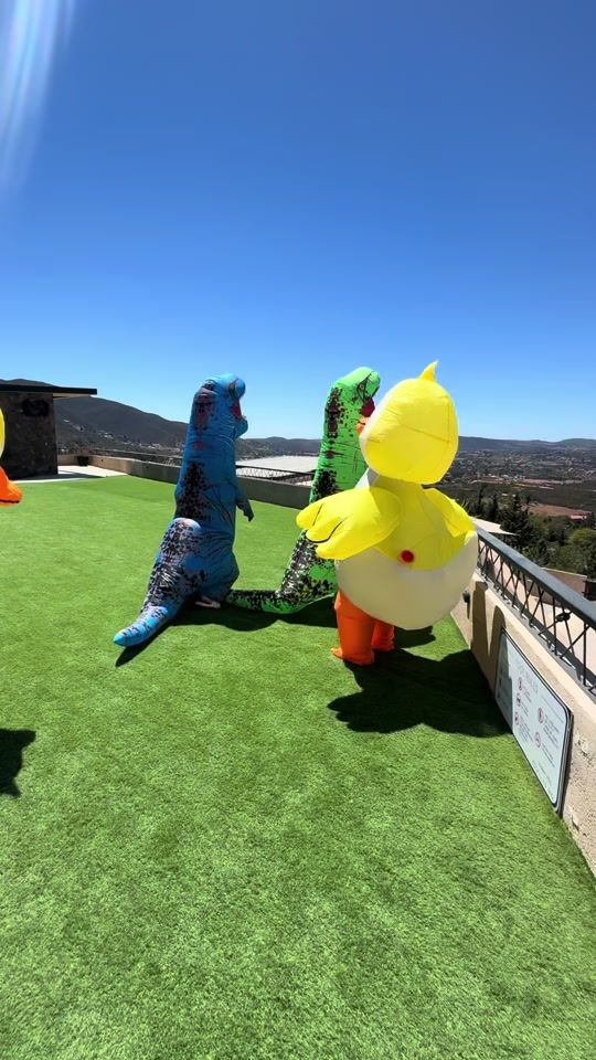 TikTok video thumbnail by americka_rubi