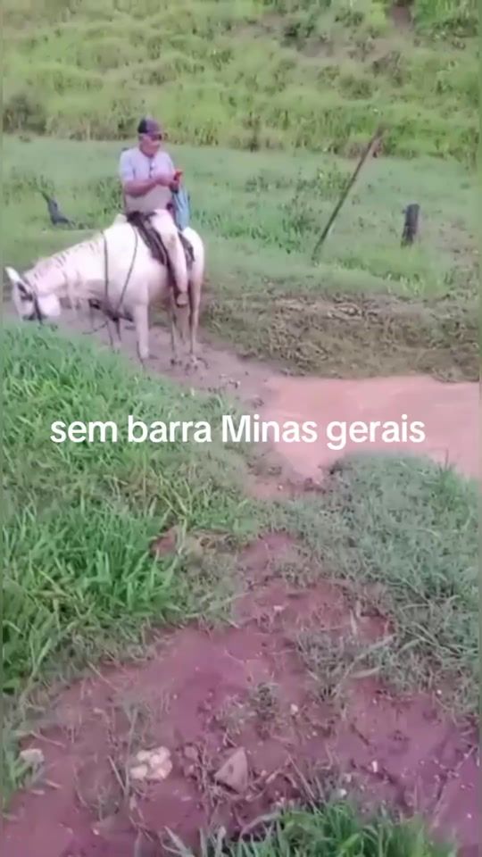 TikTok video thumbnail by mauriciooliveir573