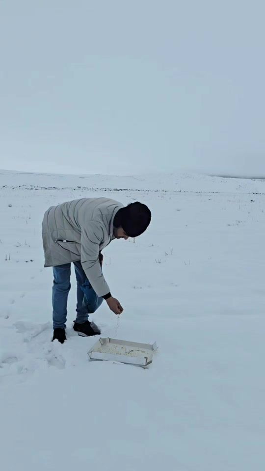 TikTok video thumbnail by hama.xarib0