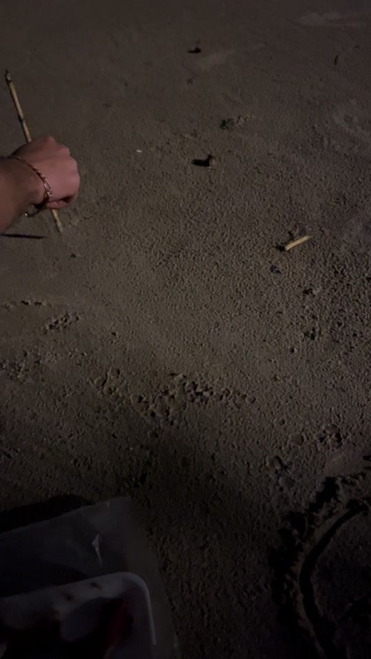 TikTok video thumbnail by michelle.rissotto