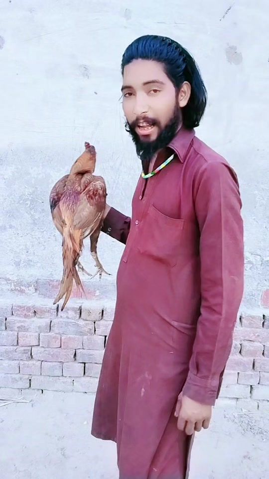 TikTok video thumbnail by qamarmusali333