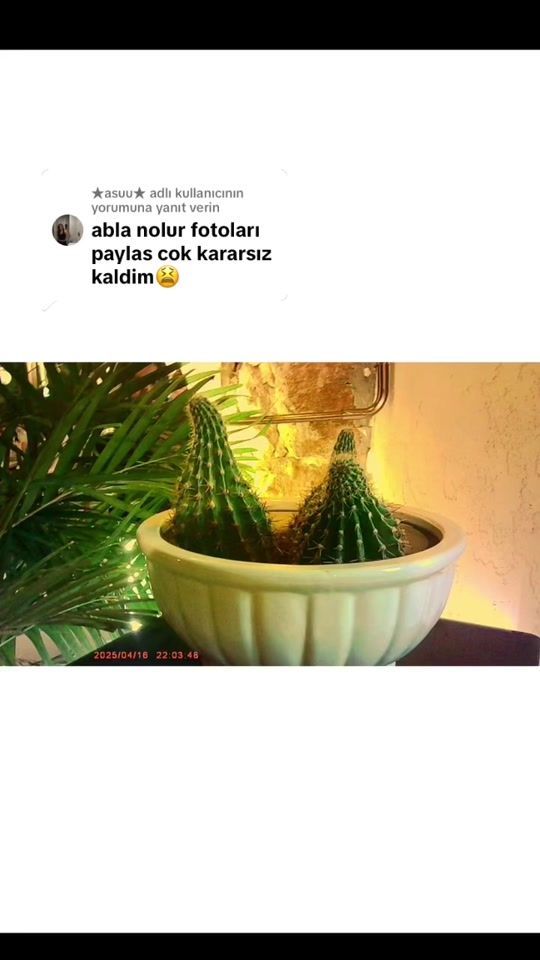 TikTok video thumbnail by eyllulmerve