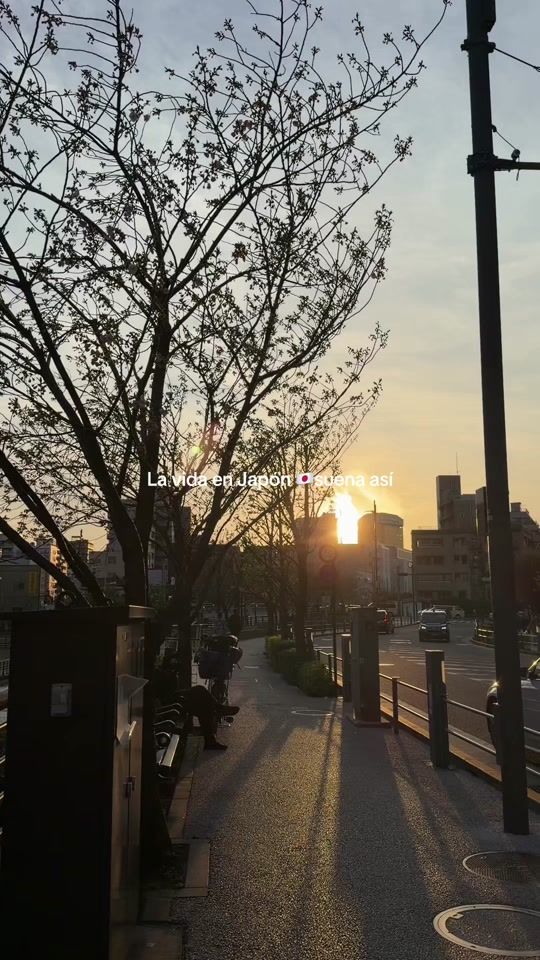 TikTok video thumbnail by valevaca21