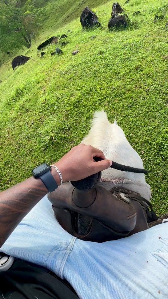 TikTok video thumbnail by _srsanchez