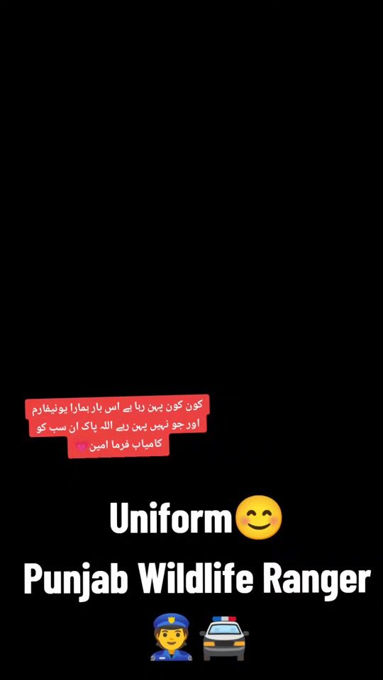 TikTok video thumbnail by punjabsquard