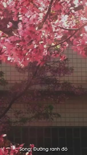TikTok video thumbnail by lisette.22