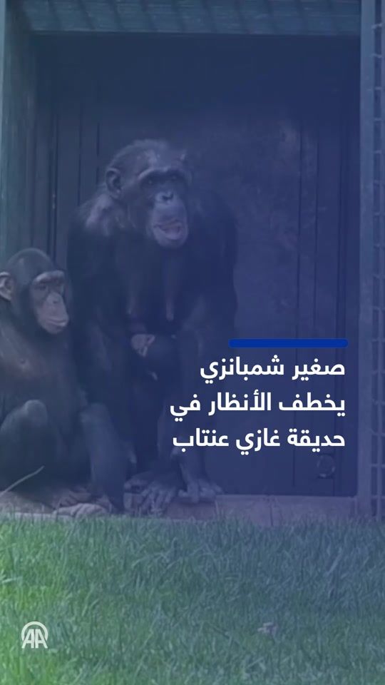 TikTok video thumbnail by aa_arabic