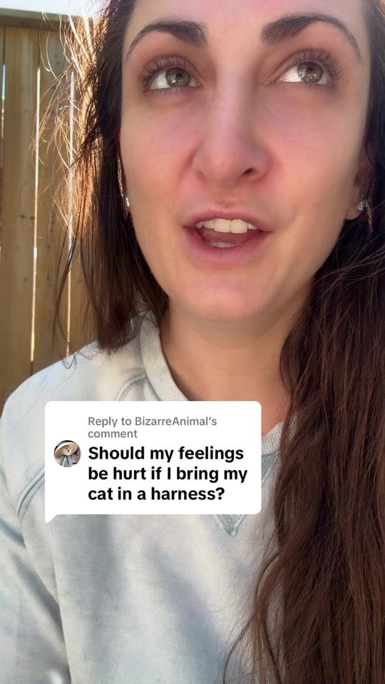 TikTok video thumbnail by thevetsoapbox