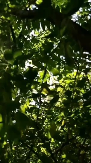 TikTok video thumbnail by mq._t7
