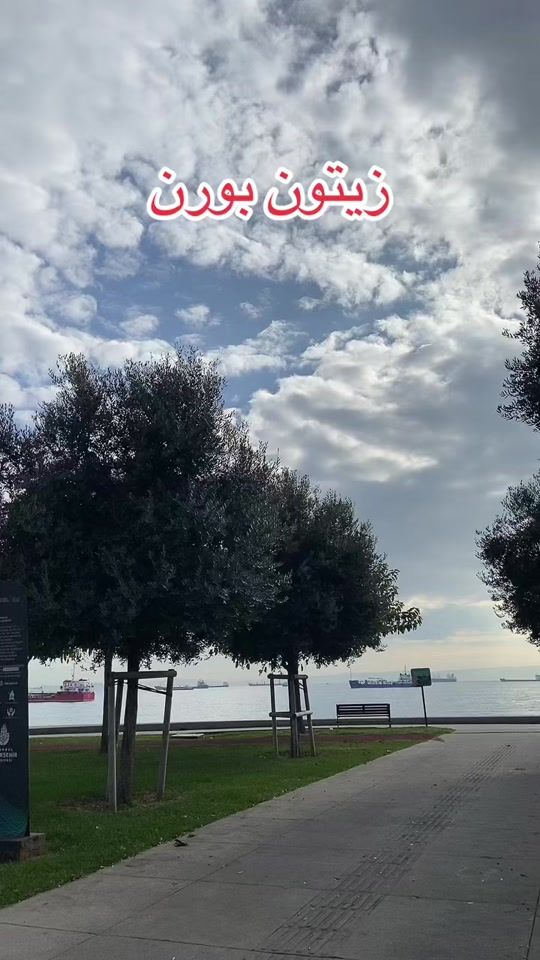 TikTok video thumbnail by beytullahcan___81