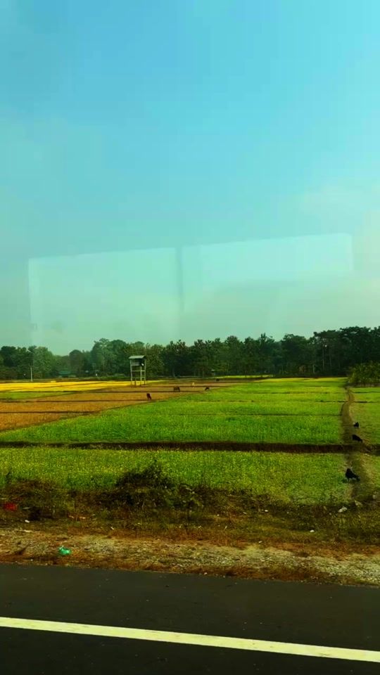 TikTok video thumbnail by camperking_12344