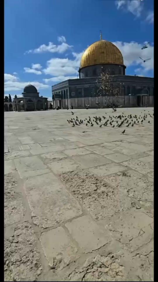TikTok video thumbnail by 3achikat_al_aksa