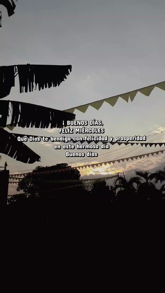 TikTok video thumbnail by frases.david24