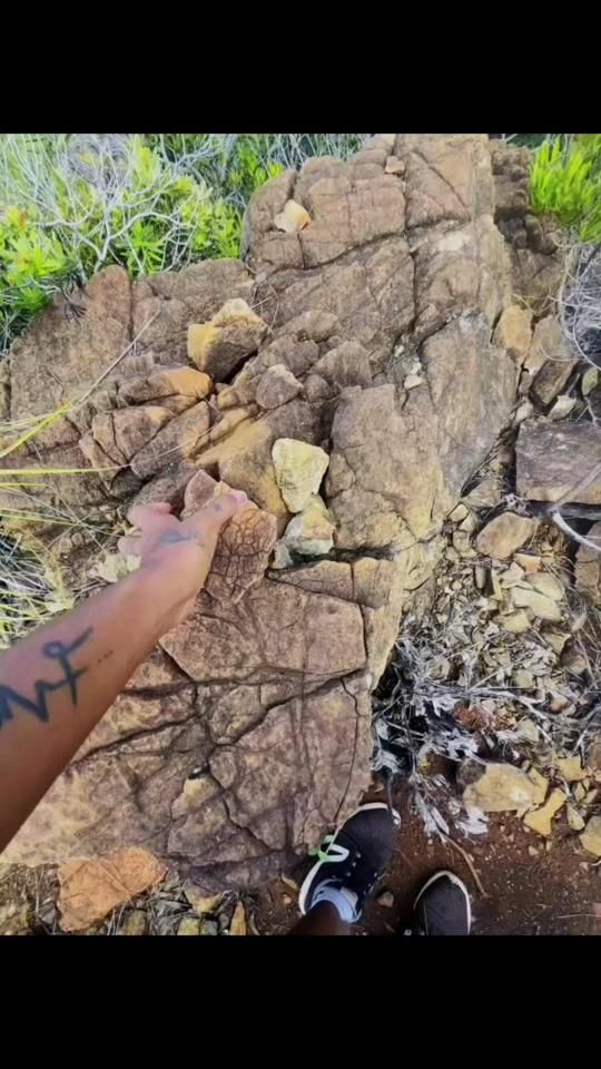 TikTok video thumbnail by prmn_pwvo