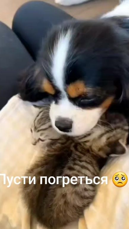 TikTok video thumbnail by alesya.rus09