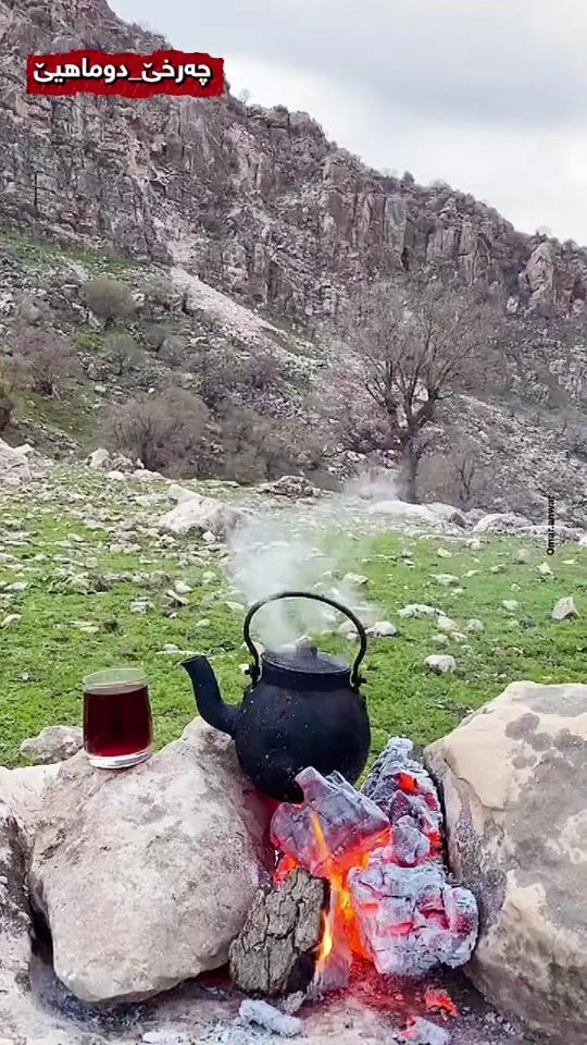 TikTok video thumbnail by nidoor_