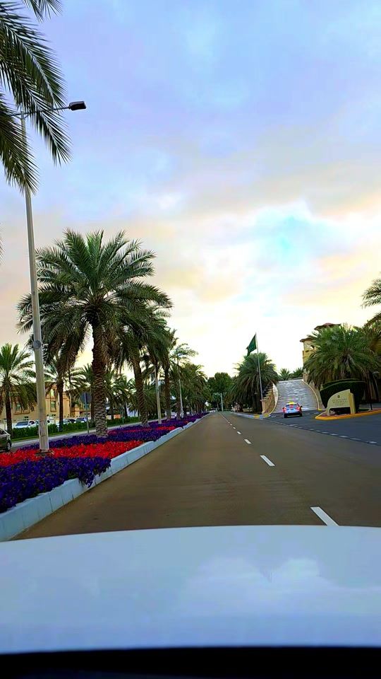TikTok video thumbnail by bebo11777