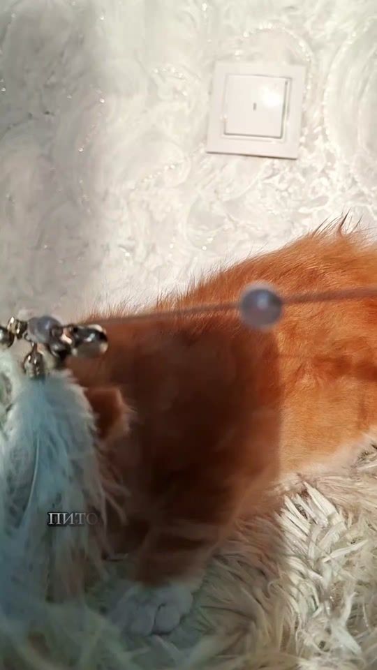 TikTok video thumbnail by marinachk...a