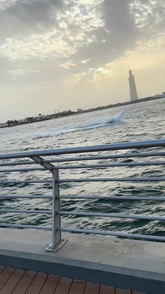 TikTok video thumbnail by lm3a_la