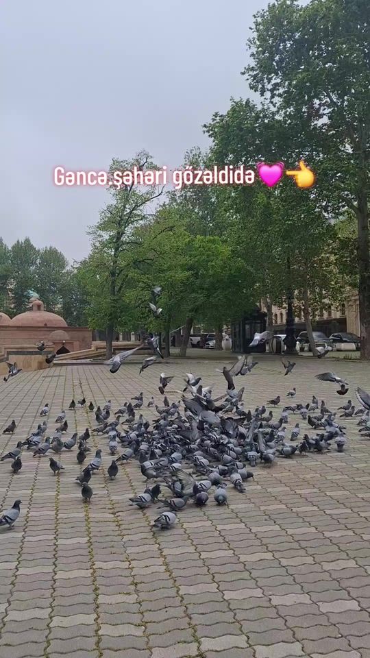 TikTok video thumbnail by mahnilar.57