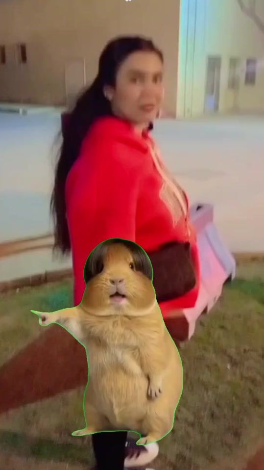 TikTok video thumbnail by lolo1991930