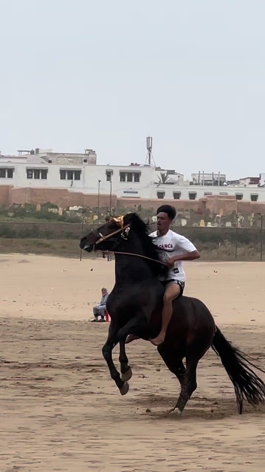 TikTok video thumbnail by ayman.fn8