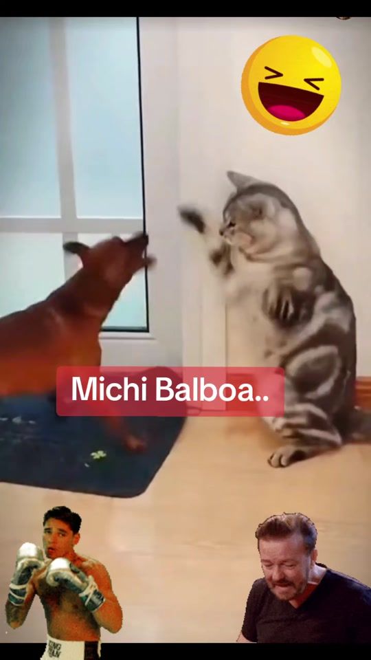 TikTok video thumbnail by mycheliz