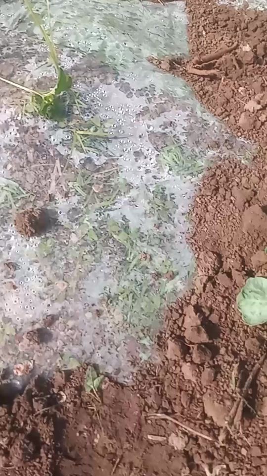 TikTok video thumbnail by kent_tesarfat