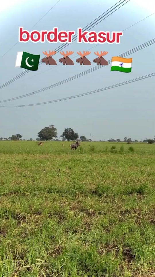 TikTok video thumbnail by umair_kasur786