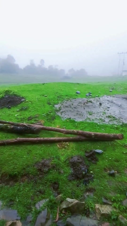 TikTok video thumbnail by dachan.zangmo
