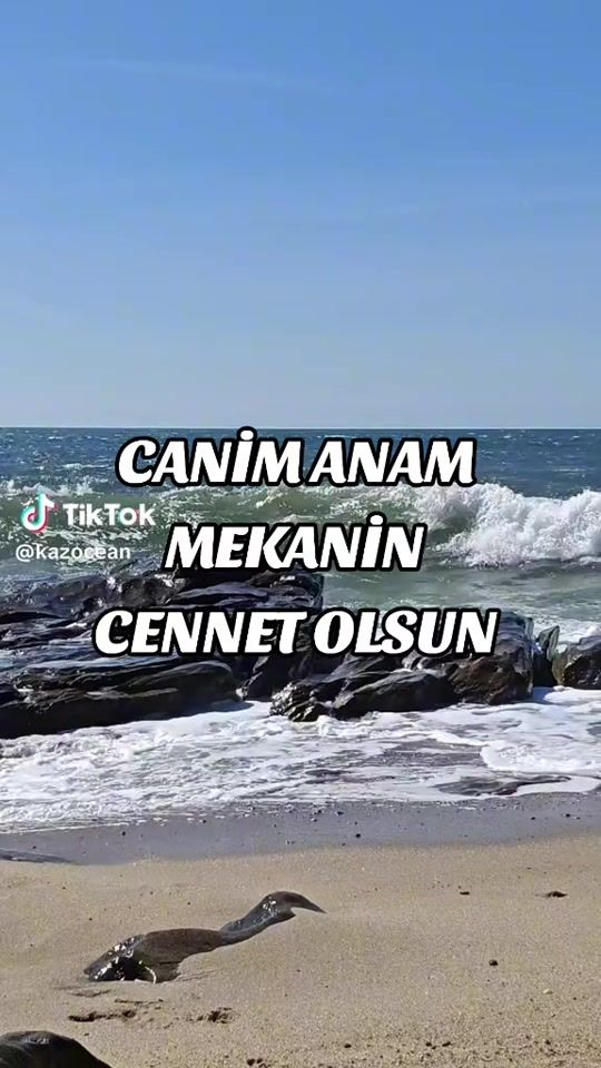 TikTok video thumbnail by babekibrahimov228