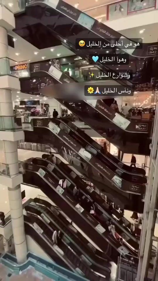 TikTok video thumbnail by am.adam8