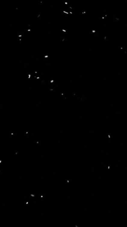 TikTok video thumbnail by cedric_fjx_