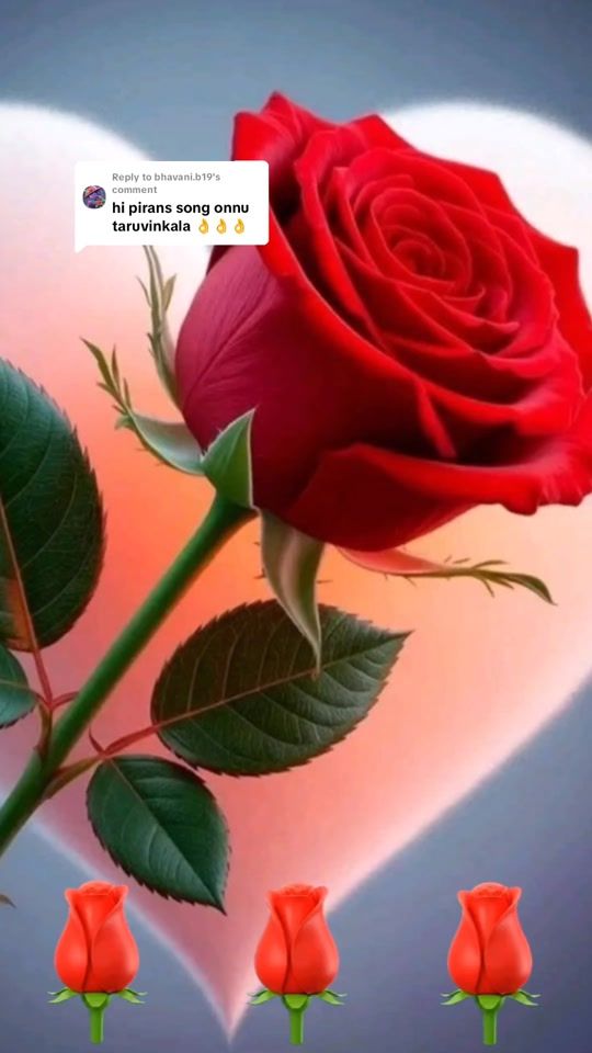 TikTok video thumbnail by mohammed.rizwan.m90