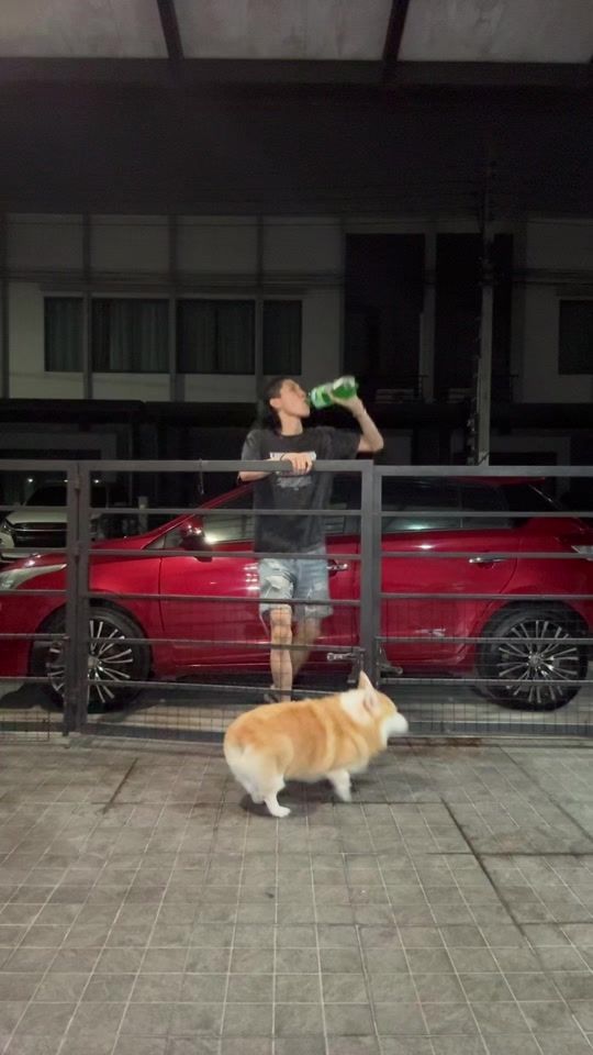 TikTok video thumbnail by beeranusorn