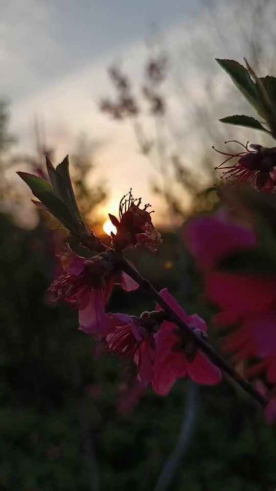 TikTok video thumbnail by iyun.27