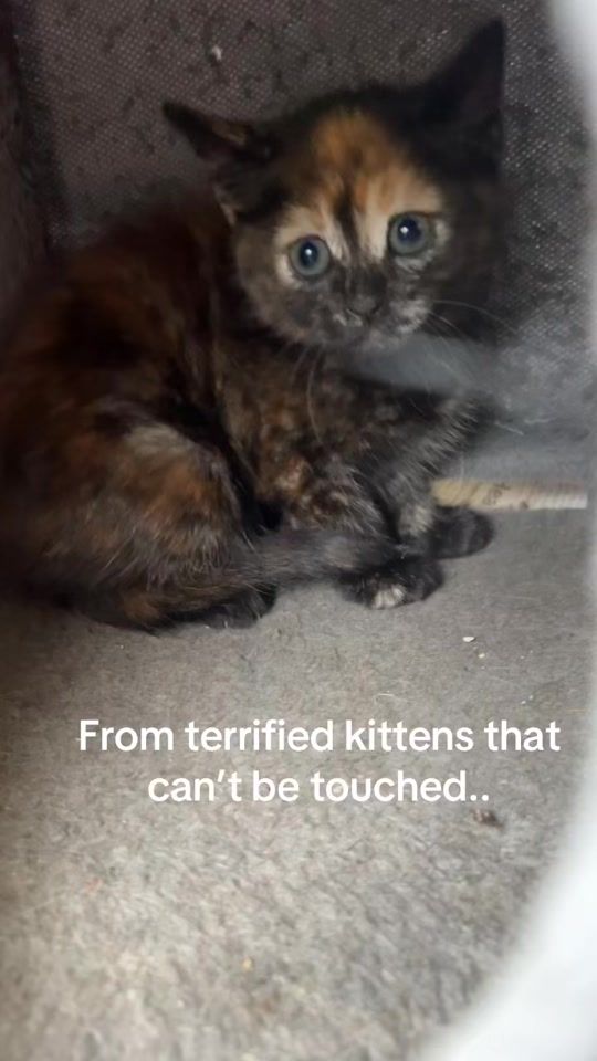 TikTok video thumbnail by lanajadetattoo
